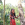 COST Of A Trip To Siargao Philippines 2024 (Our Experience)