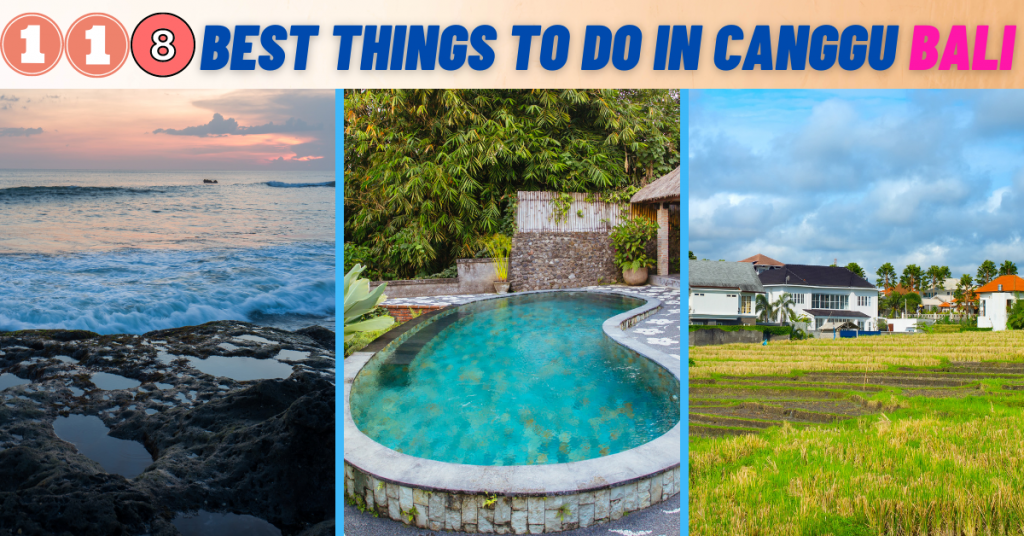 Best Things to do in Canggu Bali Travel Guide