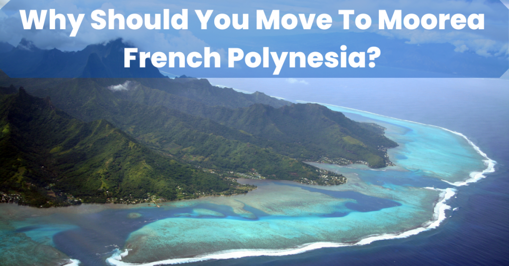 Should You Move to Moorea French Polynesia?