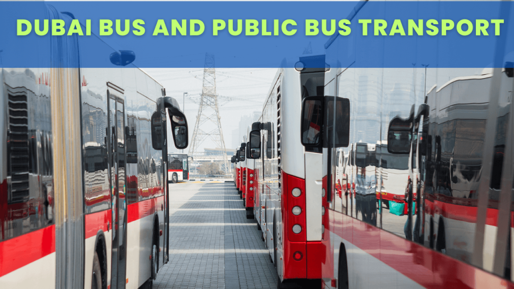 Dubai Bus and public bus Transport