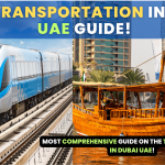 Transportation in Dubai United Arab Emirates, Public Transport in Dubai